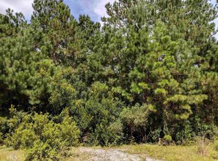 184 Demeries Lake Ln, Richmond Hill, GA 31324