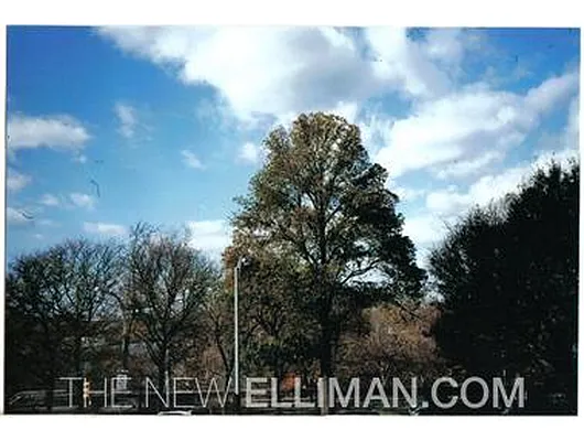 Sold by Douglas Elliman | media 28