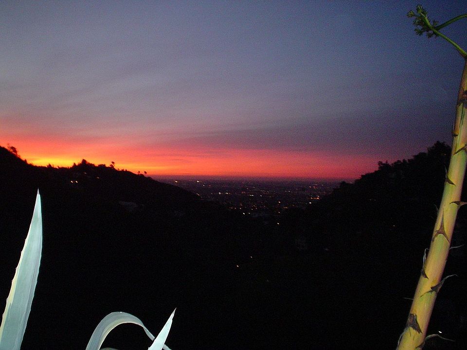 Night View