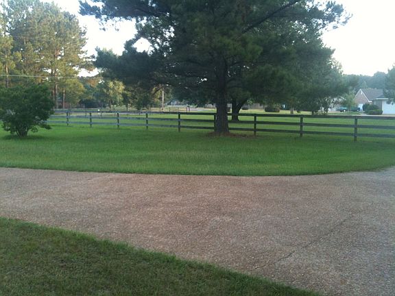 side yard