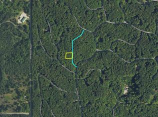 LOT 29 Heideldorf Ln, Bellaire, MI 49615
