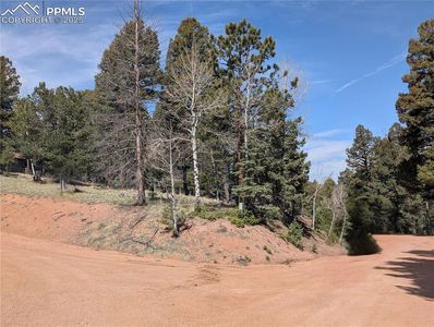 971 Spring Valley Ln, Florissant, CO, 80816
