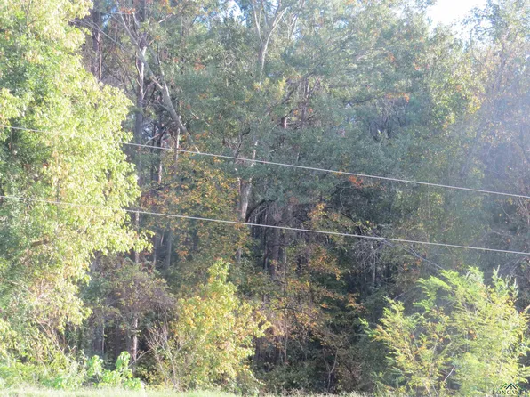 Tbd Noonday Rd, Hallsville, TX 75650