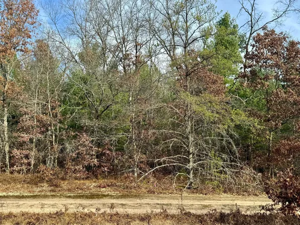 V/l S Jefferson Ave, Baldwin, MI 49304