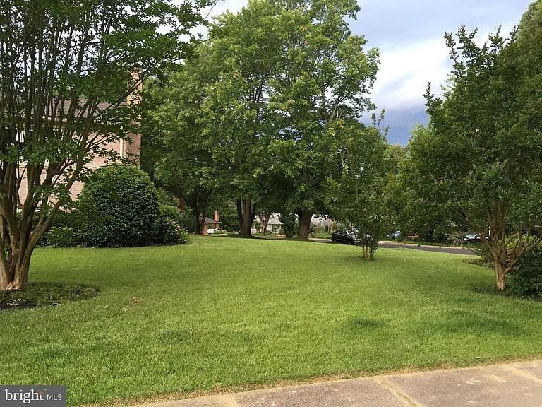 David Ln — Photo 17