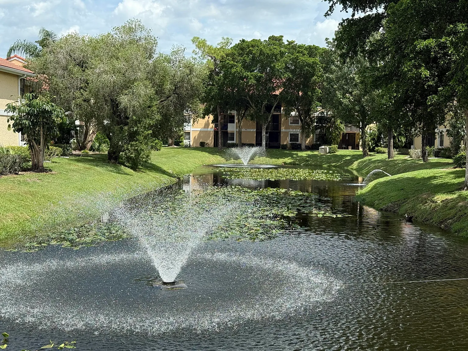 1 bed, 1.0 bath, 784 sqft, $1,700 — Photo 3