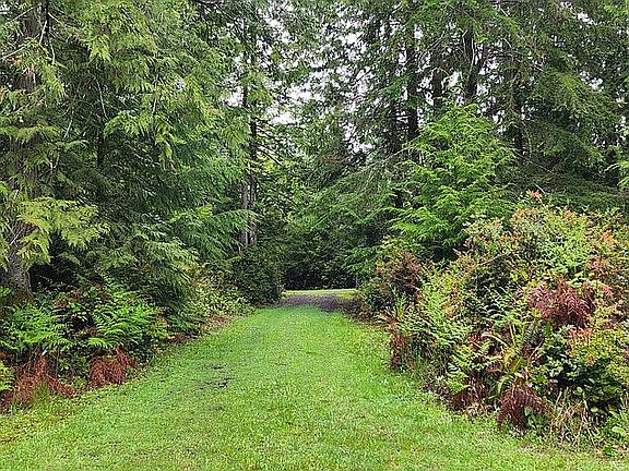 4th image of 51 E Harstine Forest Dr