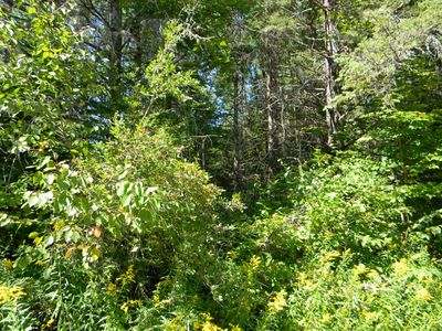 Prcl 22a Red Fox Rd, Presque Isle, WI, 54557
