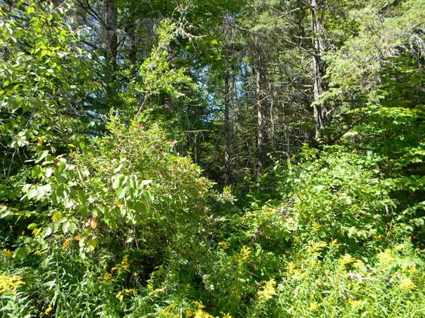 Prcl 22a Red Fox Rd, Presque Isle, WI 54557