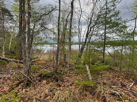 5th image of HA4PL3L17 Off Lily Way