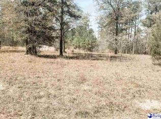 6325 Cartwheel Rd, Mullins, SC 29574