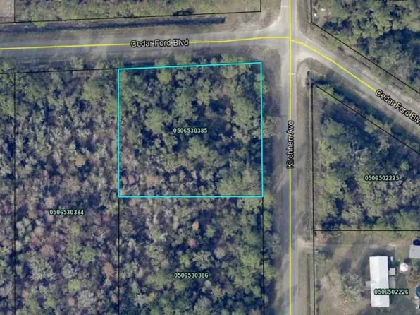 4505 Cedar Ford Blvd, Hastings, FL 32145