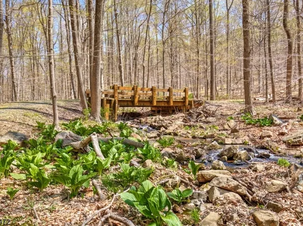 60 and 66 Rippling Brook Wa, Bernardsville Boro, NJ 07924