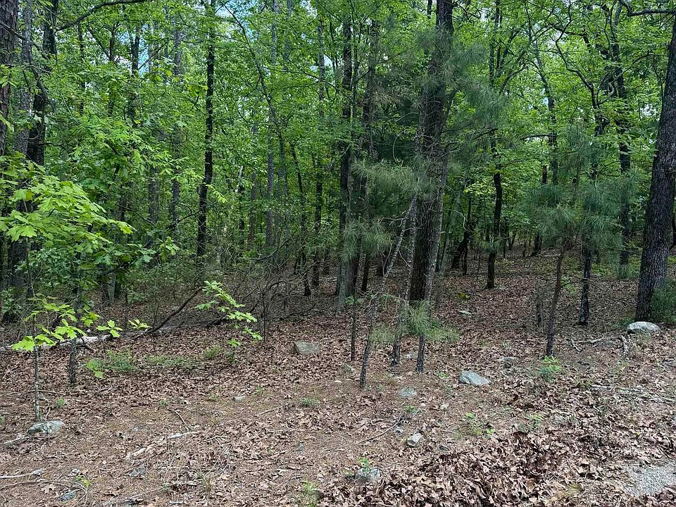 2nd image of 12215 Natural Steps Dr