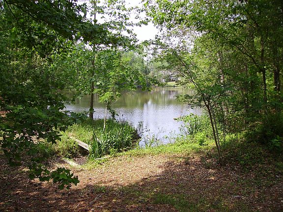 Pond