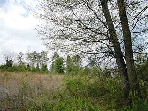 3rd image of 288 Lauren Hope Ln