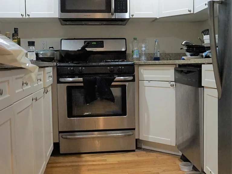 66 Egmont St #6 — Photo 4