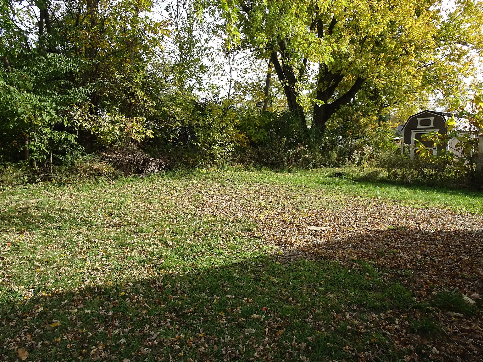 3 bed, 864 sqft, $1,190 — Photo 2