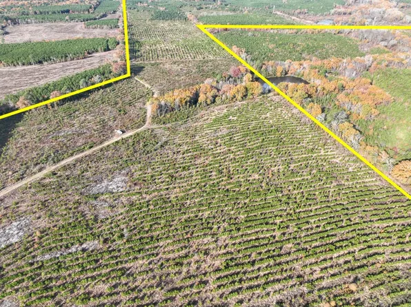0 County Road 3201, Daingerfield, TX 75638