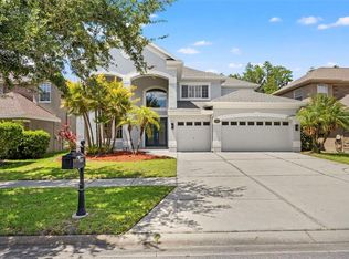 11621 Renaissance View Ct, Tampa, FL 33626