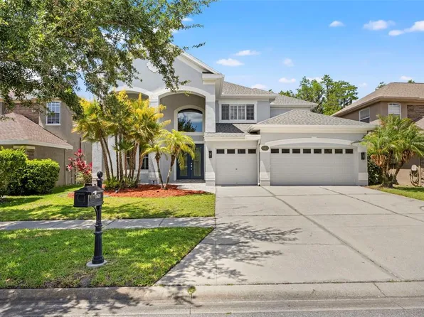 11621 Renaissance View Ct, Tampa, FL 33626