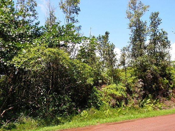 5th image of 10th Ave Lot 1575
