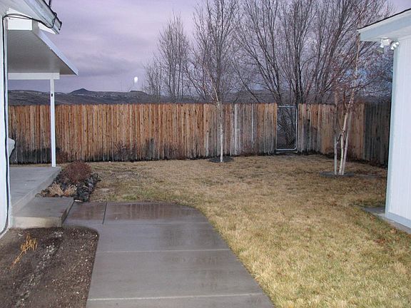 Back yard