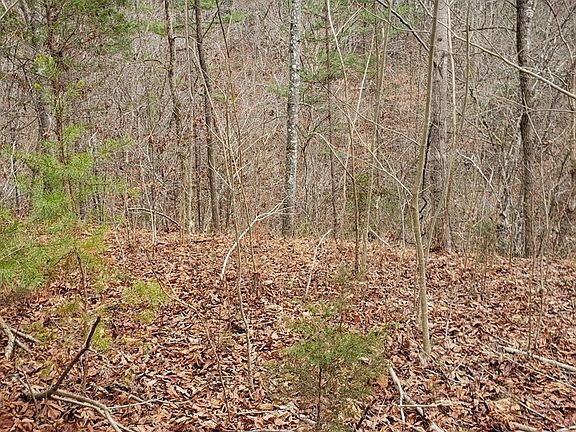 2nd image of 131 Ravens Ford Way Lot 131