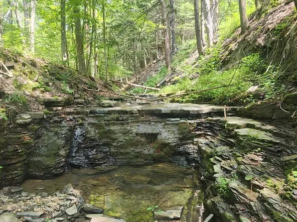 2869 Merriam Rd, Wellsburg, NY 14894