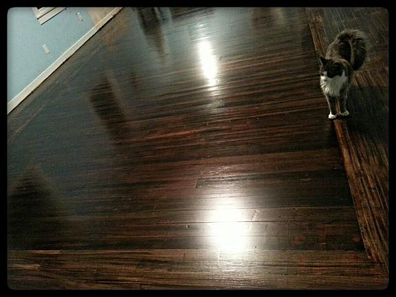Redone hardwood floors 