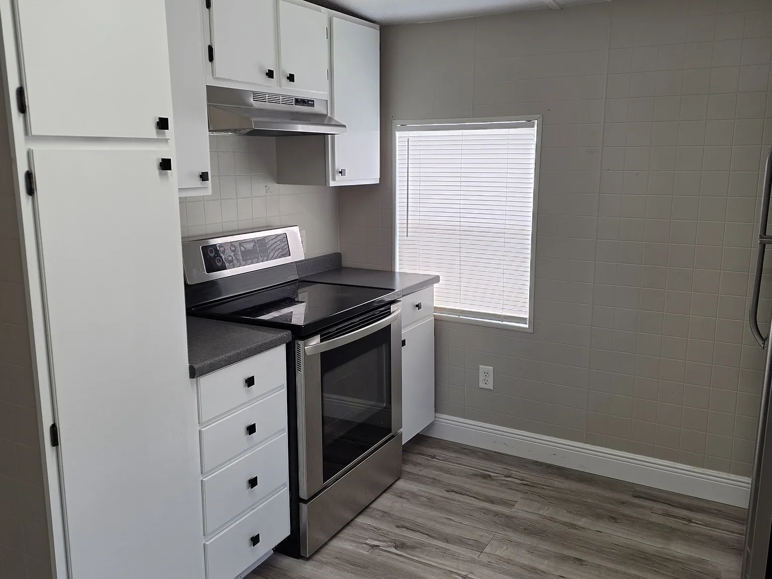 2 bed, 540 sqft, $1,300 — Photo 3