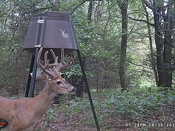Buck23