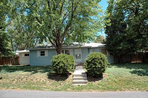 Trees and mature landscape