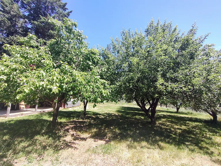 9960 W Bennion Rd — Photo 20