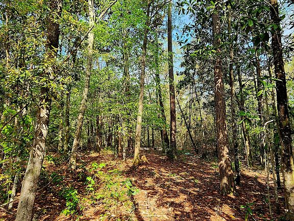 4th image of LOT 7 Clearwater Dr Lot 7