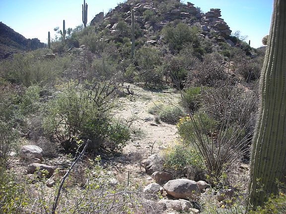 3rd image of 4415 W Cush Canyon Loop #86