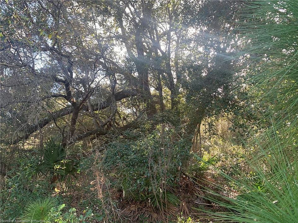 1st image of 1008 Wildflower St