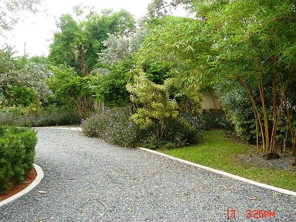 5th image of 12011 Pine Needle Ln