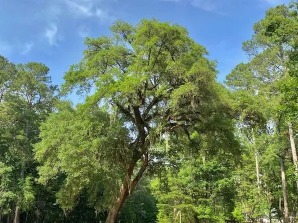 6301 Buttonbush Dr Lot 8, Ravenel, SC 29470