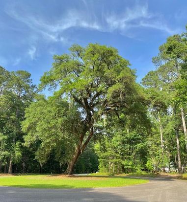 6301 Buttonbush Dr Lot 8, Ravenel, SC 29470