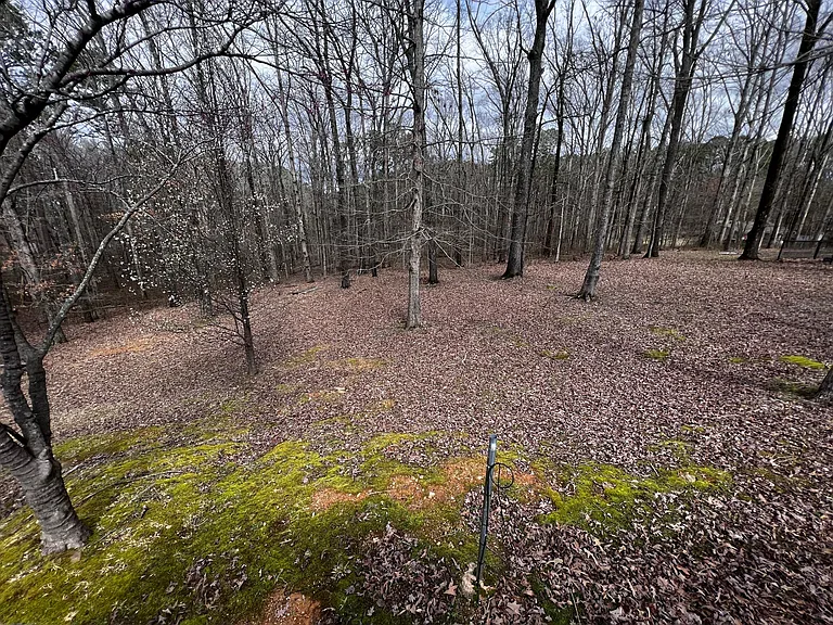 341 Plum Hollow Blvd — Photo 30
