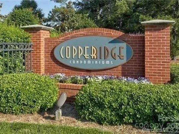 16316 Redstone Mountain Ln, Charlotte, NC 28277