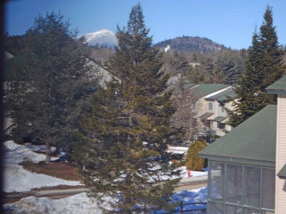 2nd image of 83 Fir Way Pinehill #60