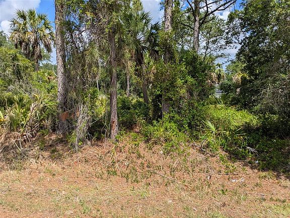 2nd image of Delight Ave Lot 38