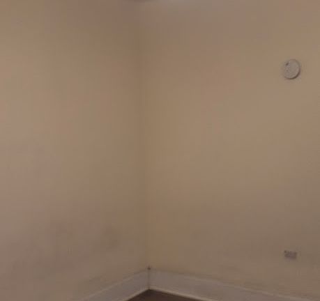 4th image of 1912 Pine Ave #4