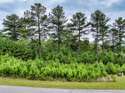 337 Loop Ln, Blairsville, GA, 30512