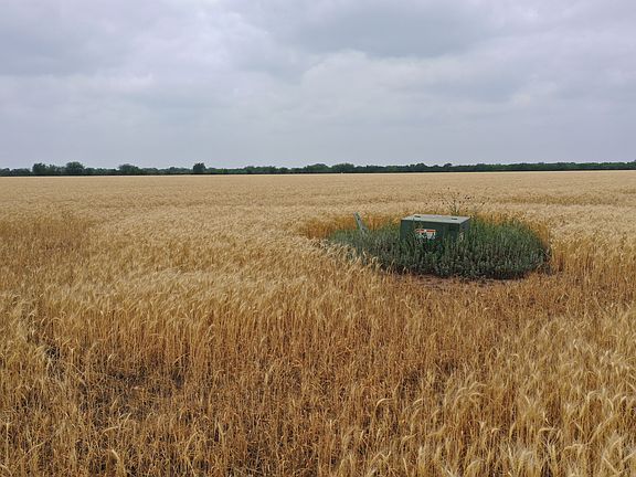 5th image of 82/- Acres Knippa Farm #303
