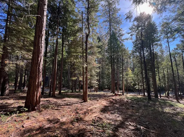 646 Dean Way, Arnold, CA 95223