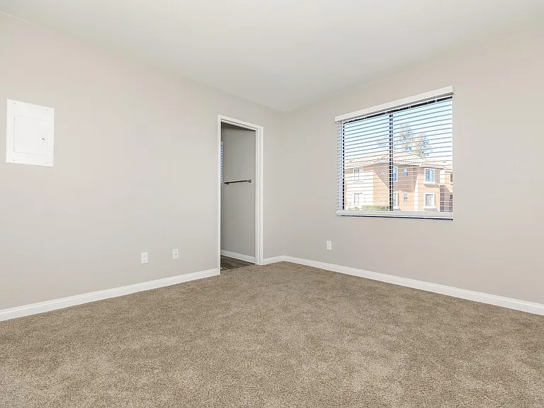 WALL TO WALL CARPET IN SMOKETREE APARTMENTS