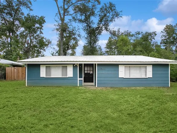 20566 Carpenter Rd, Springfield, LA 70462